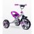 Велосипед трехколесный Caretero York (purple)