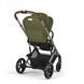 фото Прогулянкова коляска Cybex Balios S Lux TPE Moss Green New Collection 2025