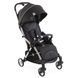 Прогулочная коляска Chicco Goody Plus Stroller (цвет 21)