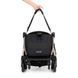 фото Прогулянкова коляска MAXI-COSI EVA 3 Essential Black Champagne