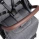 фото Прогулочная коляска MAXI-COSI EVA 3 Select Grey