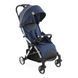 Прогулочная коляска Chicco Goody Plus Stroller (цвет 51)