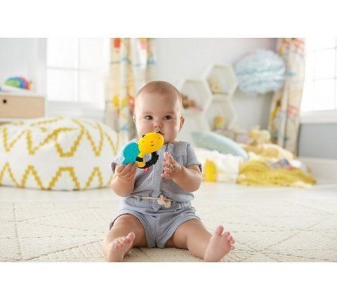 Погремушка Улитка-Пчелка в ассортименте Fisher-Price (DTH49)