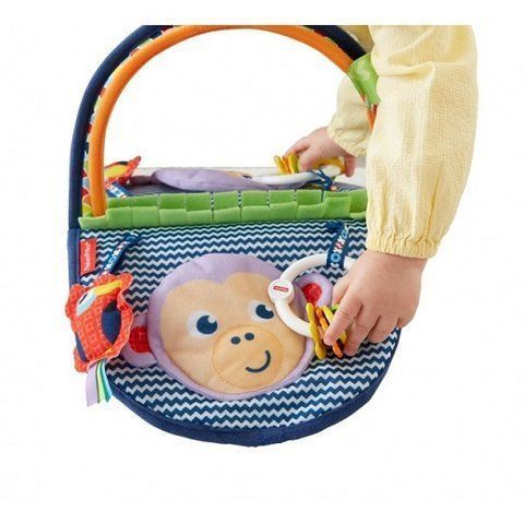 Развивающее зеркальце Обезьянка Fisher-Price (DYC85)