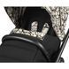 фото Универсальная коляска 3в1 Peg-Perego Veloce Grafic Gold Lounge