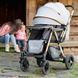 фото Прогулочная коляска Ninos Maxi (Grey)