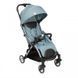 Прогулочная коляска Chicco Goody Plus Stroller (цвет 19)