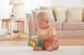 фото Игровой кубик с зверушками Fisher-Price (BFH80)