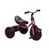 Велосипед триколісний Alexis-Babymix Turbotrike M 3649-M-1 (purple)