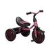 фото Велосипед трехколесный Alexis-Babymix Turbotrike M 3649-M-1 (purple)