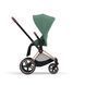 фото Комплект ткани для прогулочного блока Cybex Priam Leaf Green