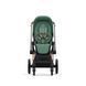 фото Комплект ткани для прогулочного блока Cybex Priam Leaf Green