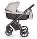 Универсальная коляска 2в1 Roan Bloom Silver Chevron