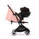 фото Прогулянкова коляска Cybex Orfeo BLK Candy Pink