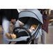 фото Прогулянкова коляска Maxi-Cosi Jaya Essential Grey
