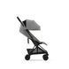 фото Прогулочная коляска Cybex Coya Mirage Grey/ Matt Black