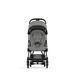 фото Прогулочная коляска Cybex Coya Mirage Grey/ Matt Black
