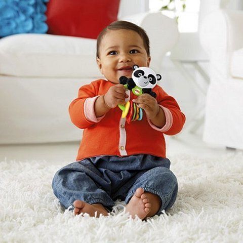 Погремушка Панда Fisher-Price (CGR96)