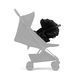 фото Автокресло Cybex Cloud T i-Size La Parisienne