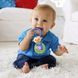 фото Погремушка Обезьянка Fisher-Price (CGR93)